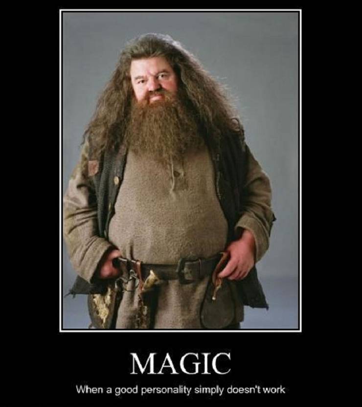 Harry Potter 10 Hilarious Hagrid Logic Memes That Are Too Funny Harry Potter 10 Hilarious Hagrid Logic Memes That Are Too Funny